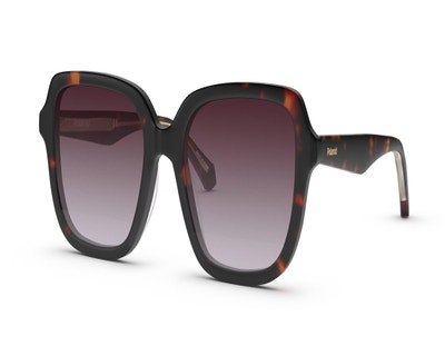 brand-Polaroid-style-PLD4095/S/X-color-Tortoise-size-M/L-small-image