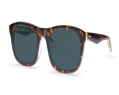 brand-Polaroid-style-PLD2104/S/X-color-Tortoise-size-L+-small-image