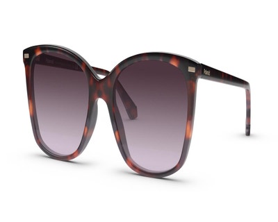 brand-Polaroid-style-PLD4108/S-color-Tortoise-size-L-small-image