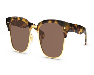 brand-Polo-style-PH4202-color-Tortoise-size-L+-small-image