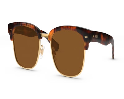 brand-Polo-style-PH4202-color-Tortoise-size-L+-main-image