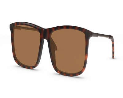 brand-Dragon-style-DRDAMIENLL-color-Tortoise-size-L+-small-image